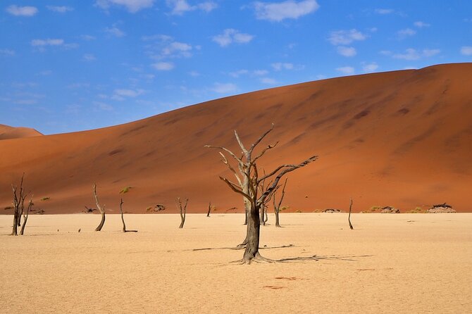 10 Day Discover Namibia Small Group Safari - Namib Desert Day 1: Rehoboth to Elim Dunes camp time
