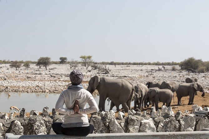 10-Day Private Yoga Adventure in Namibia - Gocheganas Nature Reserve: hot air balloon option and big-game calm
