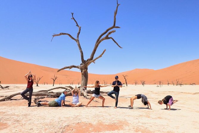 10-Day Private Yoga Adventure in Namibia - Should you book this 10-Day Yoga and Safari Route?