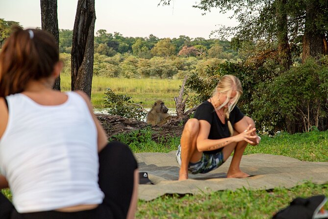 10-Day Private Yoga Adventure in Namibia - Two Etosha nights that mix comfort, pools, and African music