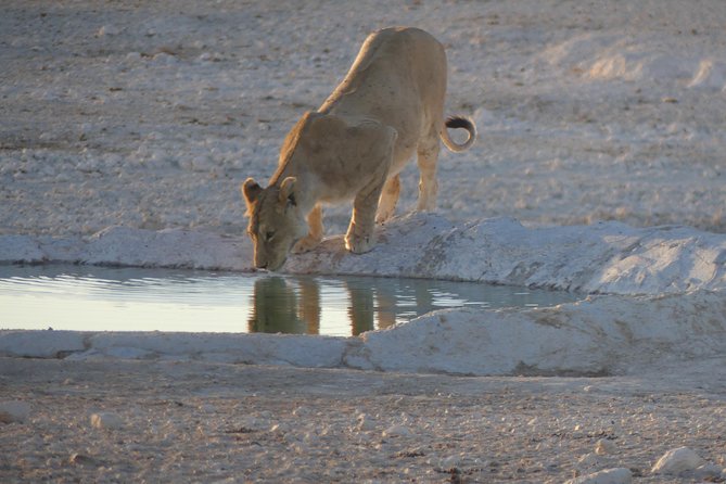 10 Namibia Adventures - Price and logistics: what you are really paying for