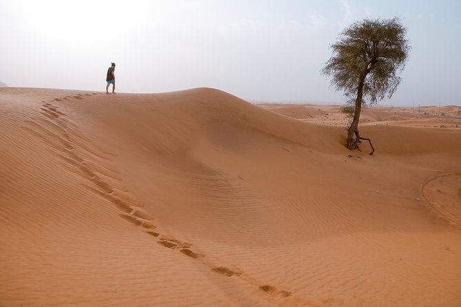 10 Namibia Adventures - Day 4 to Sossusvlei region: Solitaire, Sesriem Canyon, and sunset payoff