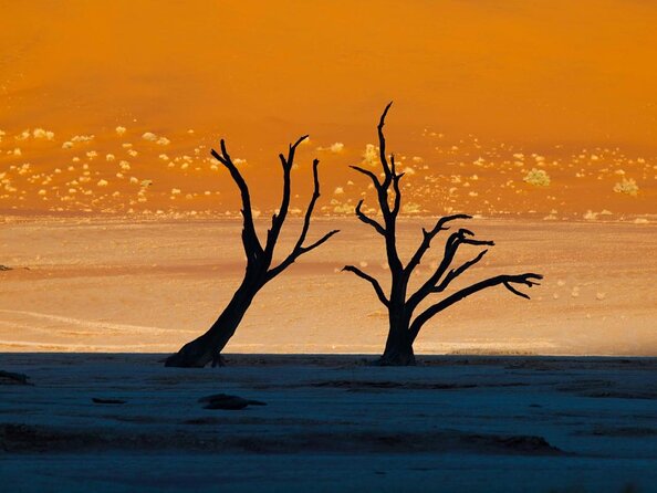 11 Days Small Group Namibia Experience Fully Accommodated Tour - Key Highlights You’ll Feel Immediately