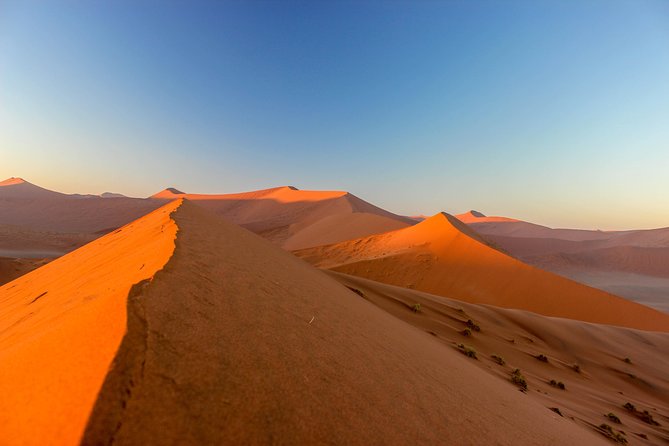 11 Days Small Group Namibia Experience Fully Accommodated Tour - How This 11-Day Namibia Loop Really Works