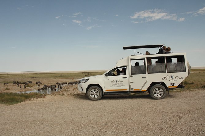 11 Days Small Group Namibia Experience Fully Accommodated Tour - Okonjima and AfriCat: Conservation Close to Windhoek