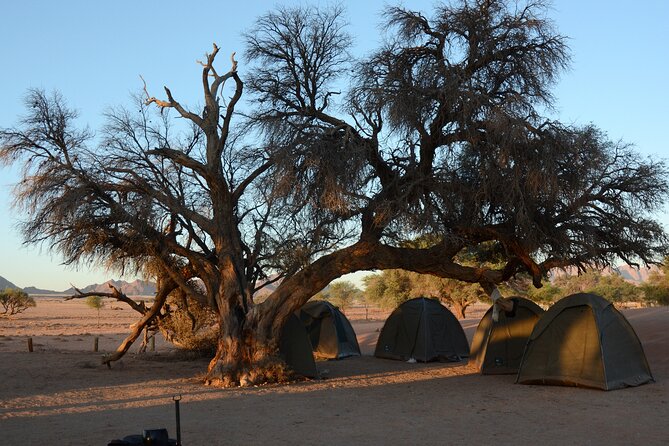 12 Day Classic Namibia Camping Safari - Day 5: The Skeleton Coast Lead-In, Shipwreck Country, and Cape Cross Camp