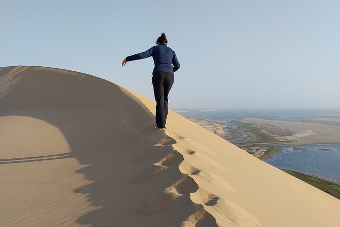 2 Days Guided Tour in Sossusvlei and Sandwich Harbor - Key highlights you can plan around