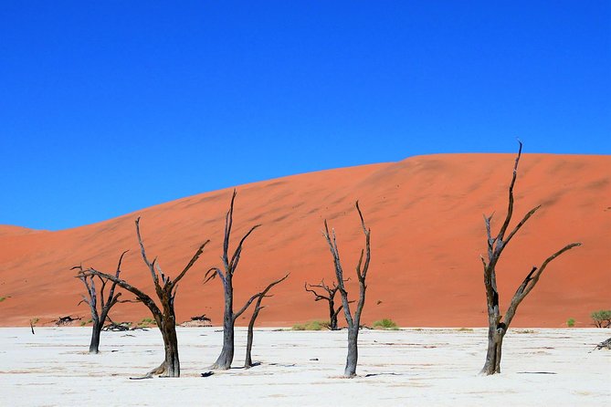 2 Days Sossusvlei Private Camping Tour - Why this 2-day Sossusvlei plan feels efficient
