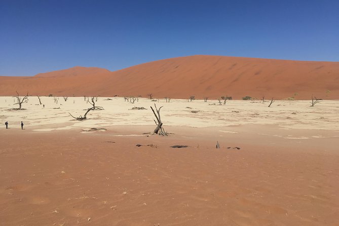 3 Day Camping safari at Sossusvlei - Quick hits before you go