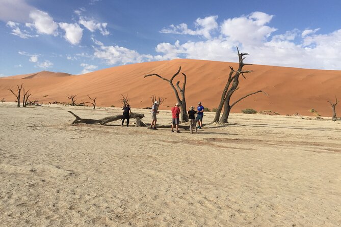 3 Day Camping safari at Sossusvlei - Day 1: Sossusvlei arrival, camp setup, and an easy evening