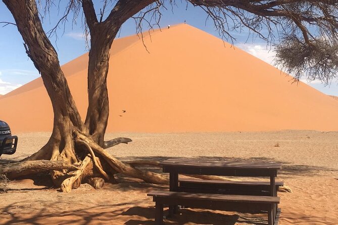 3 Day Camping safari at Sossusvlei - Camp life at Sesriem: clean sites, showers, and the insect factor