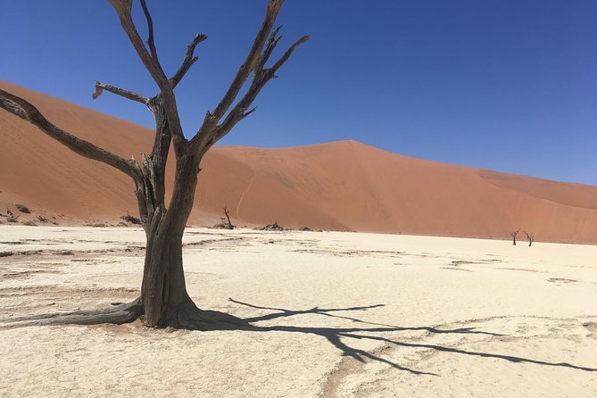 3 Day Camping safari at Sossusvlei - Price and logistics: does $720 make sense?