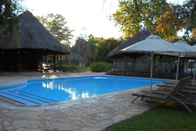 3 Day Camping tour at Etosha National Park - Day 3: back to Windhoek, with one last look at what you still want