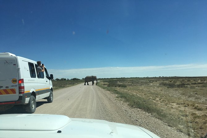 3 Day Camping tour at Etosha National Park - Park fees, game drives, and air-conditioned transport: the value math