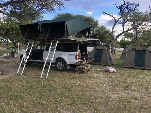 3 Day Camping tour at Etosha National Park - Day 1 at Okaukuejo: arriving, setting up camp, then hunting at the floodlit waterhole