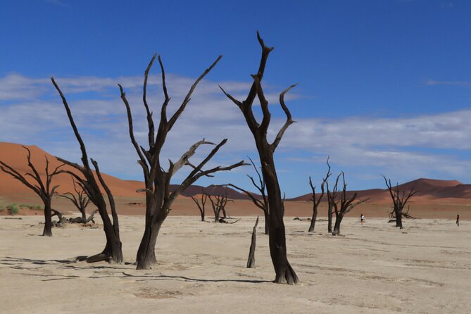 3 Day Sossusvlei Camping Schedule and Sandwich Habor - Windhoek to the Namib Desert, why this route works