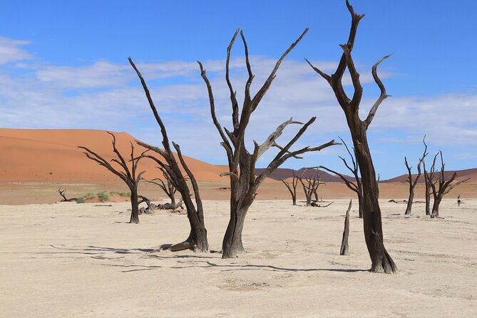 3 Day Sossusvlei Camping Schedule and Sandwich Habor - Swakopmund connection, then down to the coast