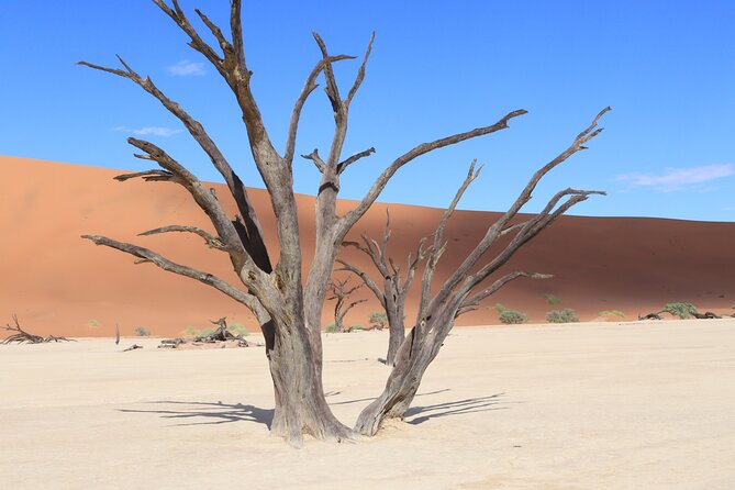 3 Day Sossusvlei Camping Schedule and Sandwich Habor - Dune 45 and desert overnight, the star-dune warm-up