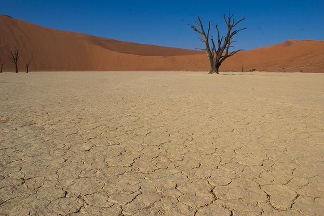 3-Day Sossusvlei Express Accommodated Safari from Swakopmund - Day 3: Solitaire cheetah conservation and a careful return to Windhoek