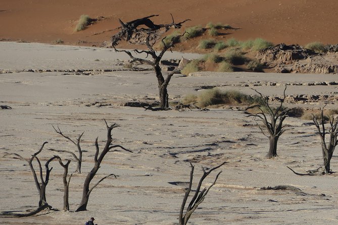 3 Days Amazing Red Dunes of Sossusvlei | Private Guided Tour - Private guide value: what you actually get with Motema Tours and Safaris Namibia