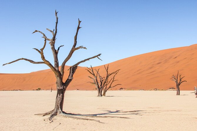 3 Days Amazing Red Dunes of Sossusvlei | Private Guided Tour - Dune 45: why the climb is worth making the effort