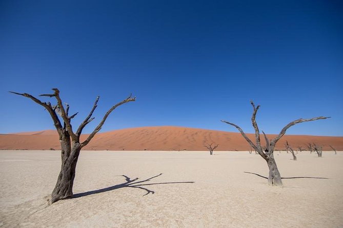 4-Day Swakopmund And Sossusvlei Accommodated Adventure from Windhoek - Price and logistics: is $1,298.66 actually good value?