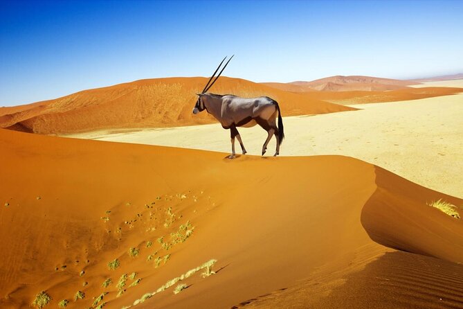 6 Day Private Guided Accommodated Namibian Loop - Key highlights I’d plan around