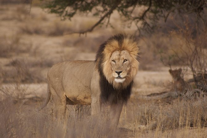 6 Day Private Guided Accommodated Namibian Loop - A private Namibia loop that balances big drives with big payoffs