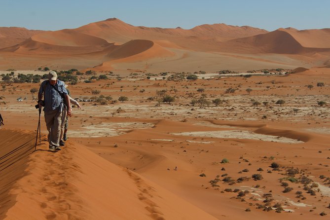 6 Day Private Guided Accommodated Namibian Loop - Day 5: Sossusvlei and Deadvlei at sunrise, plus Sesriem Canyon relief
