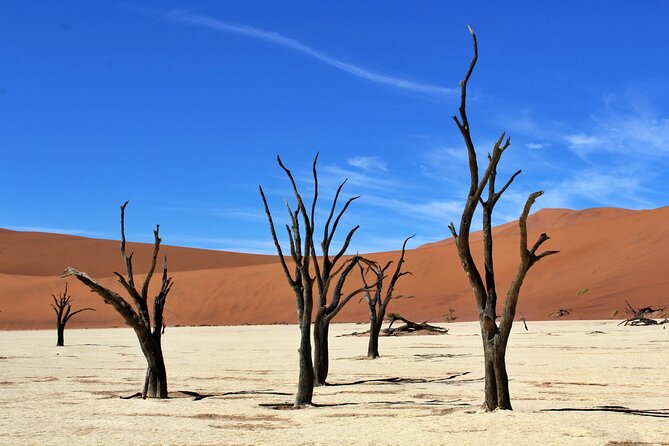 6 Day Private Guided Accommodated Namibian Loop - Day 6: Naukluft views, towns on the way back, and an optional balloon flight