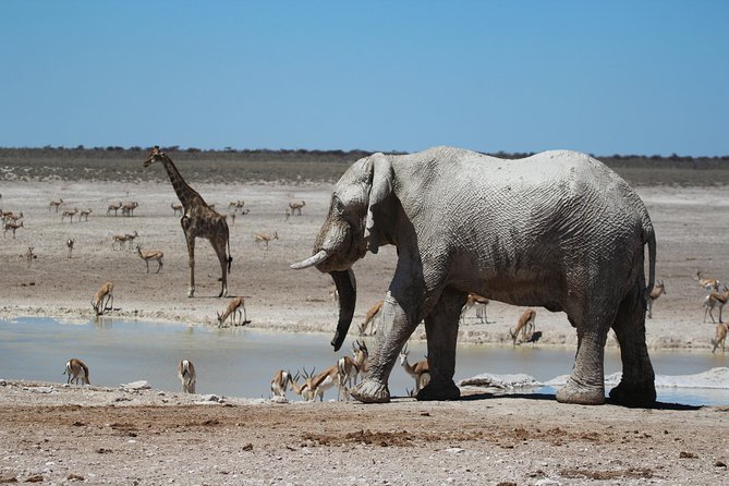 6 Day Private Guided Accommodated Namibian Loop - The pace, the driving, and how to avoid a trip that feels rushed