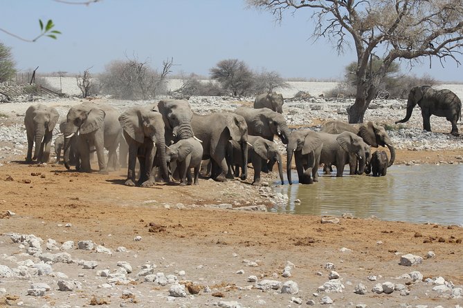 6 Day Private Guided Accommodated Namibian Loop - Day 3 into Damaraland: Zeila Shipwreck plus community stops