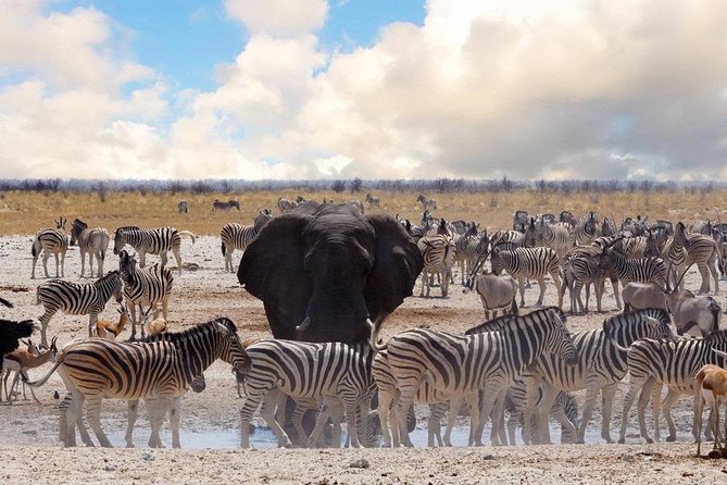 6 DAYS ETOSHA,SWAKOPMUND & SOSSUSVLEI- NAMIBIA (Lodging) - Price and What You Get for It