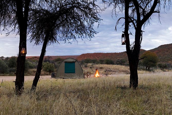 7 Day Northern Namibia and Skeleton Coast Camping Safari - Himba culture at Otjikandero and the Palmwag night-sky bet