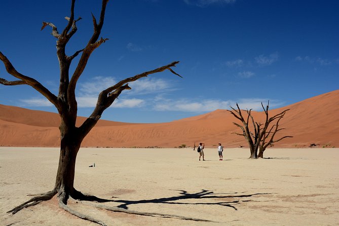 7 Day Southern Namibia and Sossusvlei Camping Safari - Kolmanskop Ghost Town and Luderitz: Diamonds, Then Atlantic Light