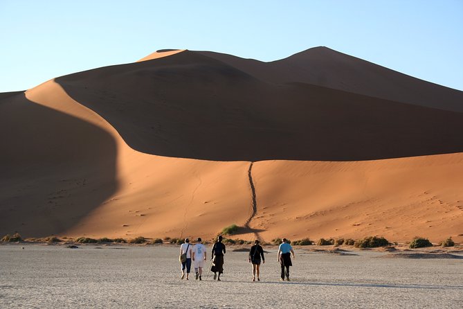 7 Day Southern Namibia and Sossusvlei Camping Safari - Fish River Canyon Lookout, then Quiver Tree Forest Stars