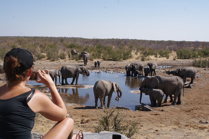 7 Day Taste of Namibia Lodging Safari - N/a’an ku se Wildlife Sanctuary: rehab that shows both hope and limits