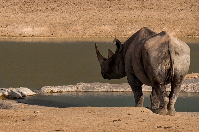 9 Day Canyons, Dunes & Wildlife Camping and Lodge Safari - Damaraland to Swakopmund: culture stops and the Namib shift