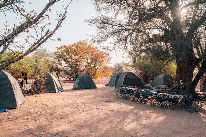 9 Day Etosha, Skeleton Coast and Sossusvlei Camping and Lodge Safari - Day 3’s sunrise Etosha Pan and the move toward Halali and back again