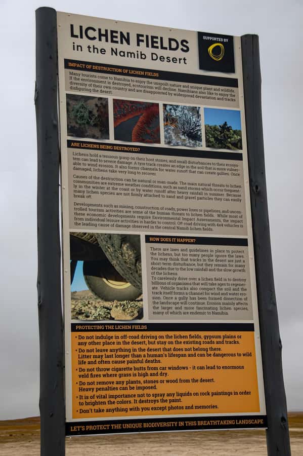 Cape Cross and Henties Bay Guided Tour SkeletonCoast Namibia - What to pack for Skeleton Coast wind and long stretches