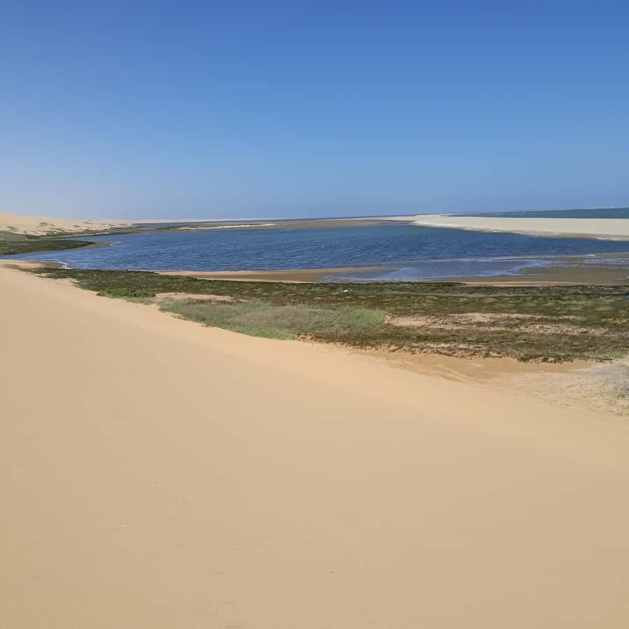 Catamaran Dolphin Cruise and Sandwich Harbour Tour - The !Nara Valley Dune Drive to Sandwich Harbour: Where the Fun Turns Wild