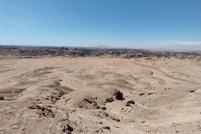 Cruise liner Special: Swakopmund and Namib Desert Highlights - Goanikontes: An Oasis in a Dry River Bed With Real Historical Weight