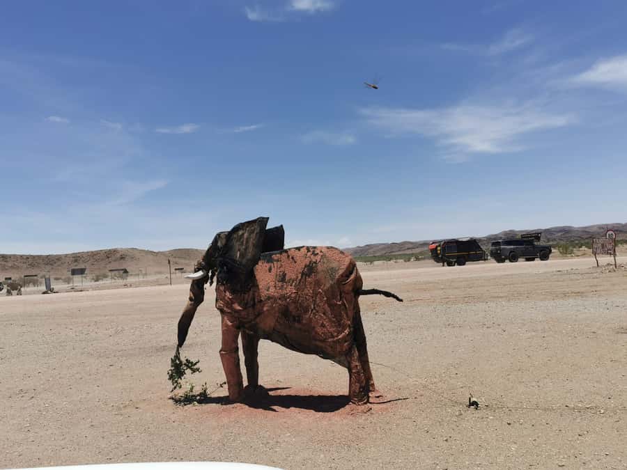 Elephant Adventure with Herson - a native of Damaraland - Logistics that matter: language, privacy, and physical comfort