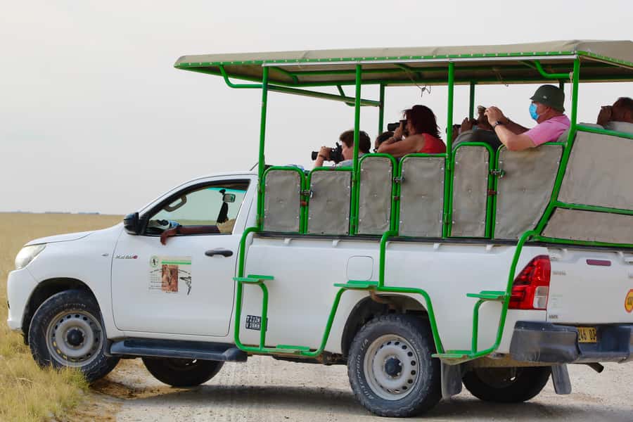 Etosha National Park: Full or Half-Day Game Drive - Getting In: Anderson Gate, Early Entry, and Your Actual Morning