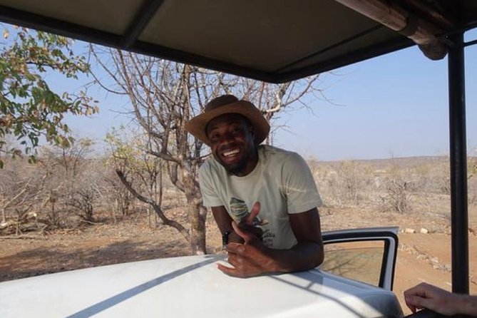ETOSHA PARK SAFARI with local guides in 9-seater 4x4s - Who this safari suits best, and who might rethink it