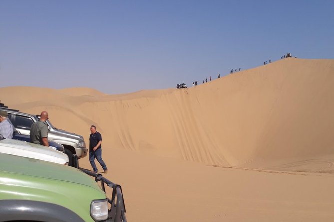 Exhilarating Sandwich Harbour 4x4: Guided Self drive experience - Air-conditioned transport and a small group make it easier to enjoy
