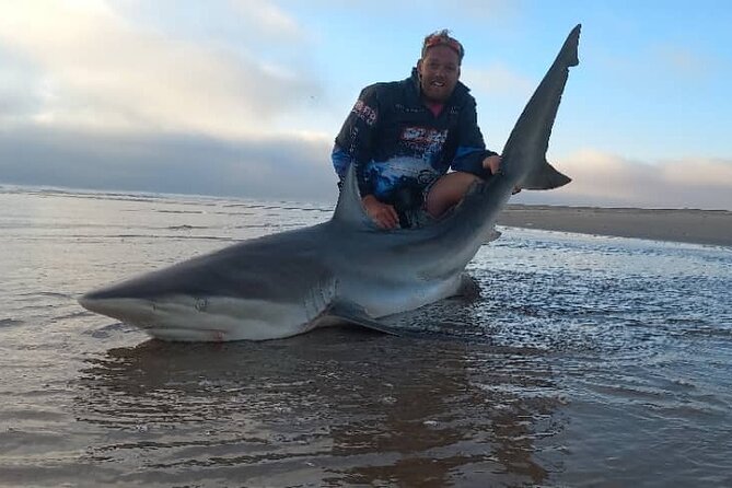 Fishing Trip and Shore Angling in the Namibian Coastline - What you might catch: bronzwhaler sharks, spotted sharks, stingrays