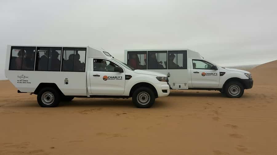 From Swakopmund: Living Dunes Experience - Why this Living Dunes hunt feels different than typical wildlife tours