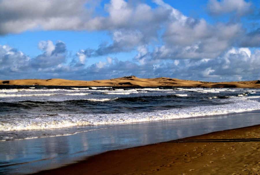 From Walvis Bay: Sandwich Harbour World Heritage Site - Key highlights worth getting excited about