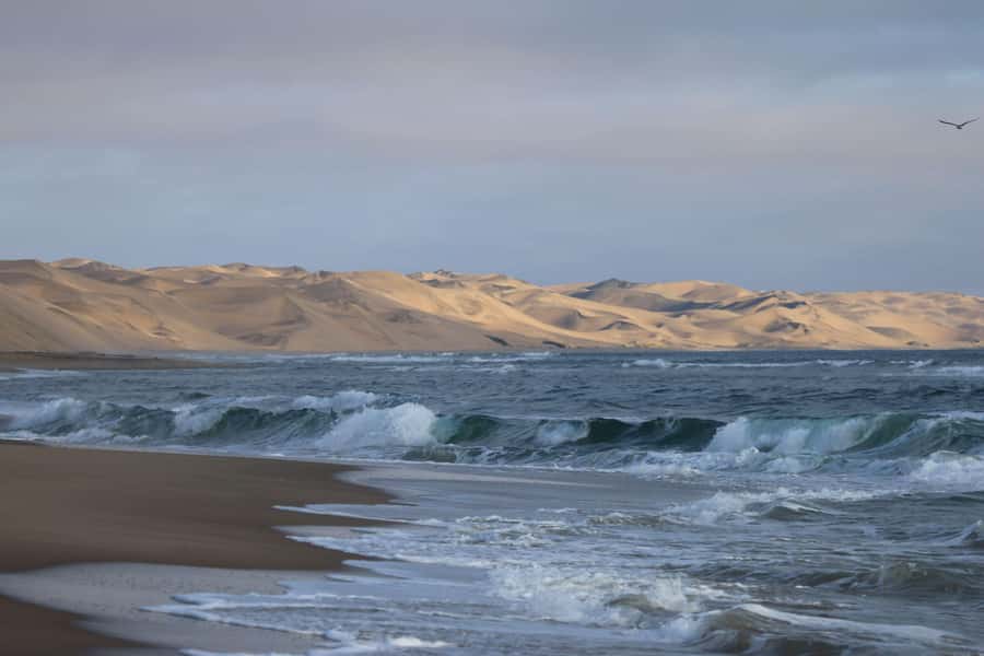 From Walvis Bay: Sandwich Harbour World Heritage Site - From Walvis Bay Waterfront to flamingo lagoon: where the day kicks off